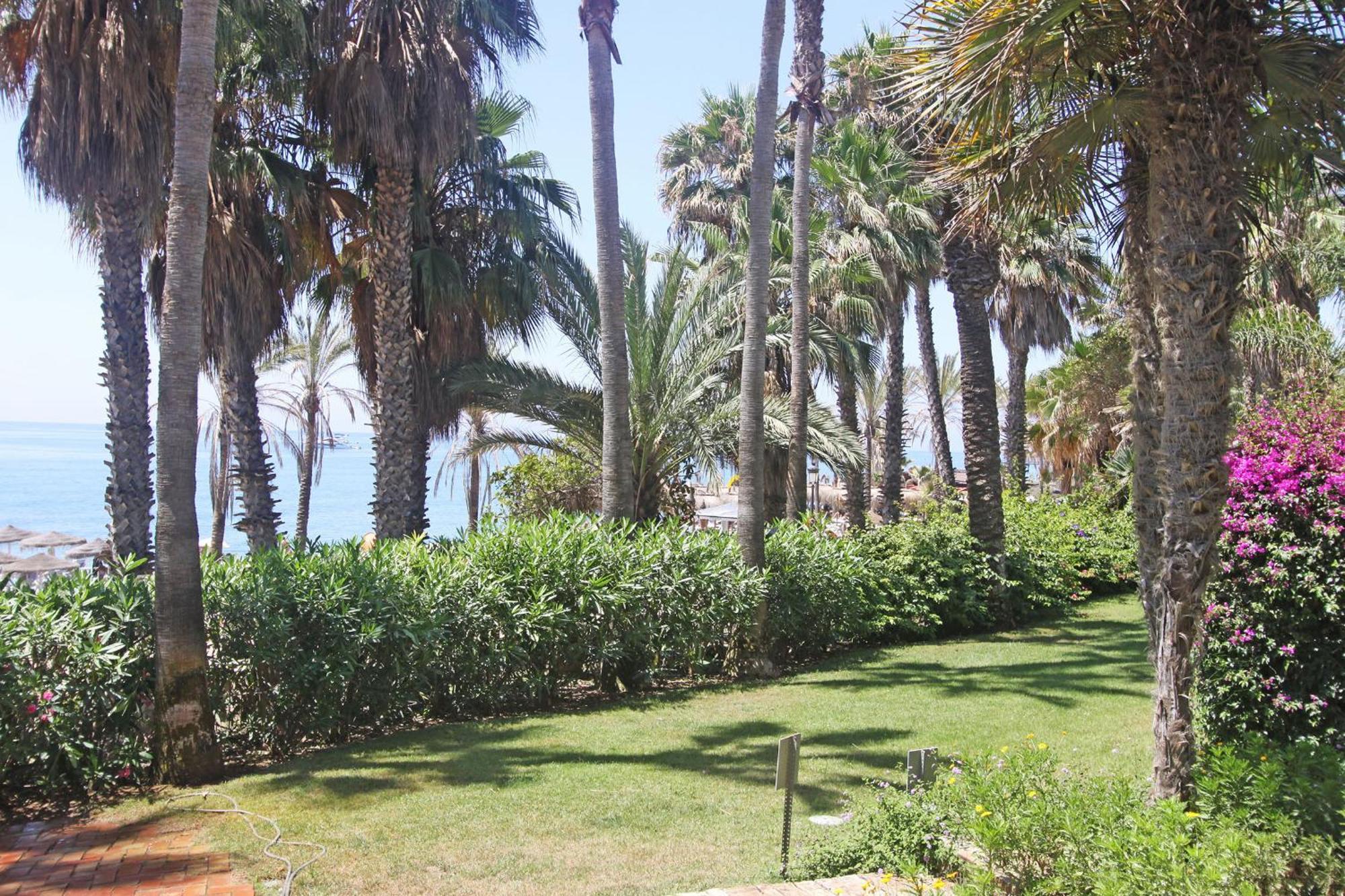 1105 Beachfront Golden Mile Lejlighed *